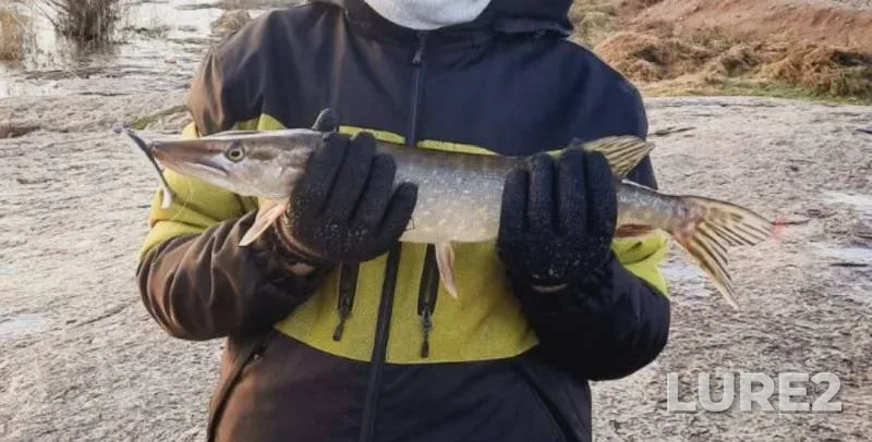 Pike — Zakrytaya bukhta, Dec 30, 2024, 3:25 PM