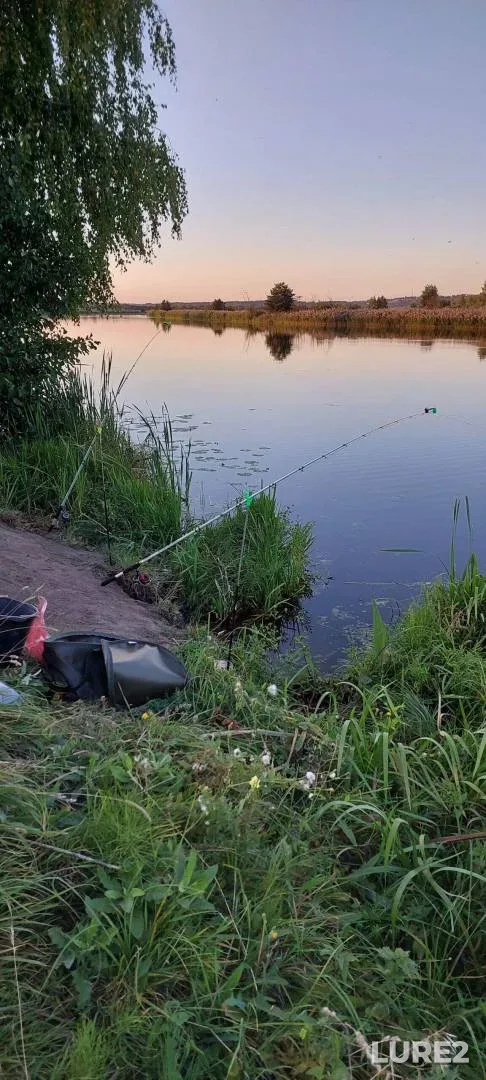 Bream, Crucian carp — Ryazanskaya oblast, Aug 16, 2024