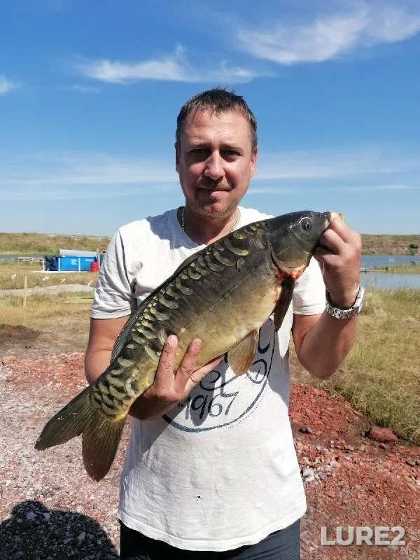 Carp — Chelyabinskaya oblast, Jul 08, 2021