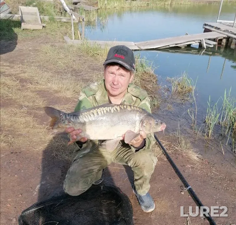 Carp — Chelyabinskaya oblast, Jul 30, 2021