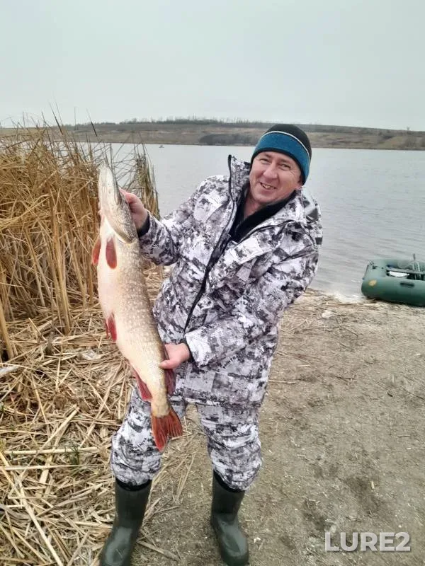 Pike — Voronezhskaya oblast, Dec 03, 2024