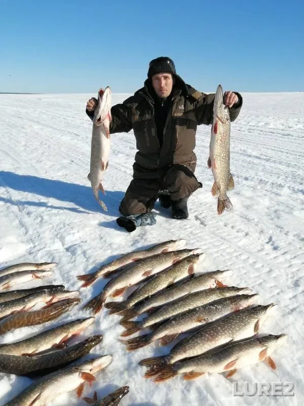 Pike — Kosvinskiy zaliv, Mar 29, 2021