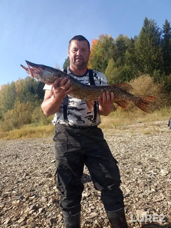 Pike — Permskiy kray, Sep 17, 2023