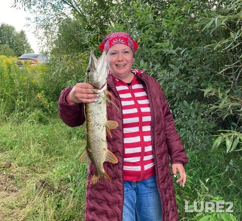 Pike — Orlovskaya oblast, Aug 12, 2024