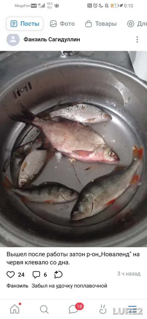 Bream, Perch — Respublika Bashkortostan, May 07, 2025