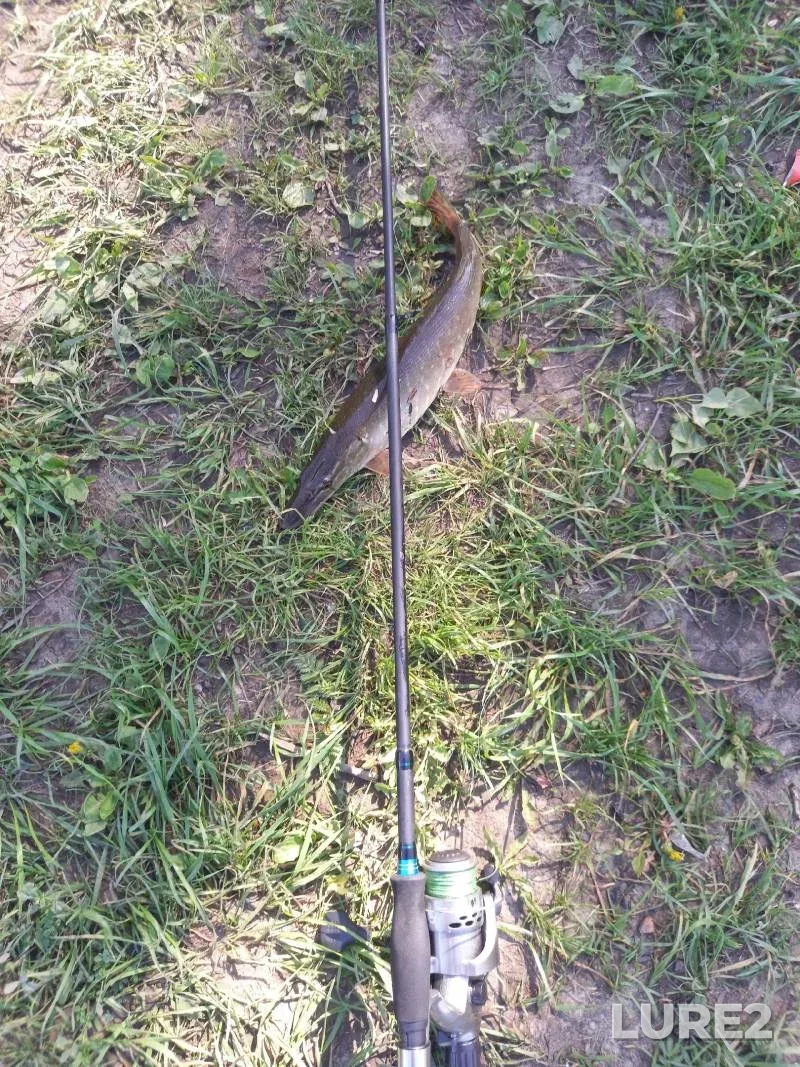 Pike — Zhayyқ - Ural, May 21, 2025, 5:10 PM