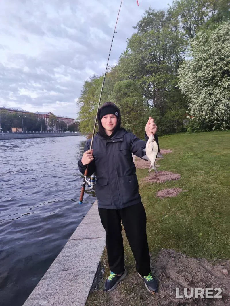 Bream — Neva, May 20, 2025, 9:54 PM