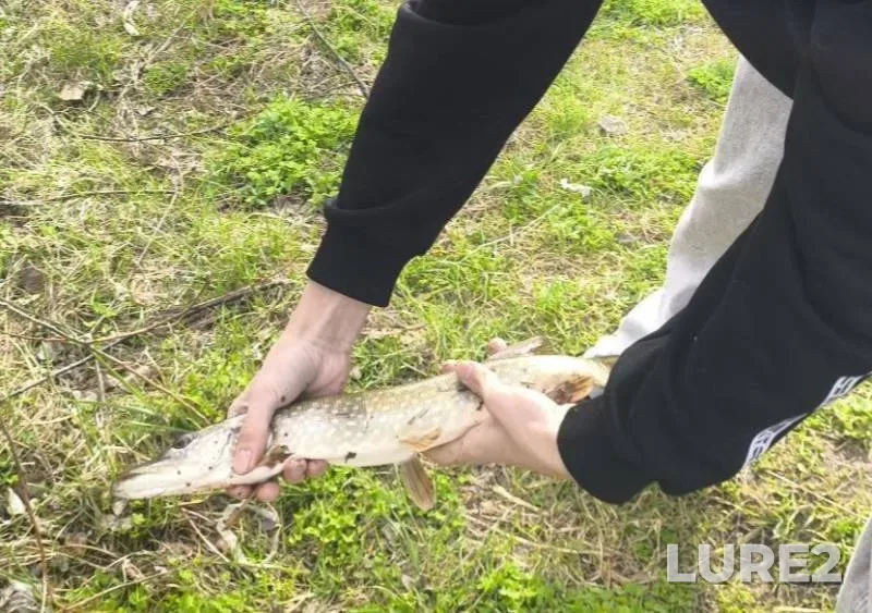 Pike — im. Pyatygina, May 13, 2025, 5:00 PM