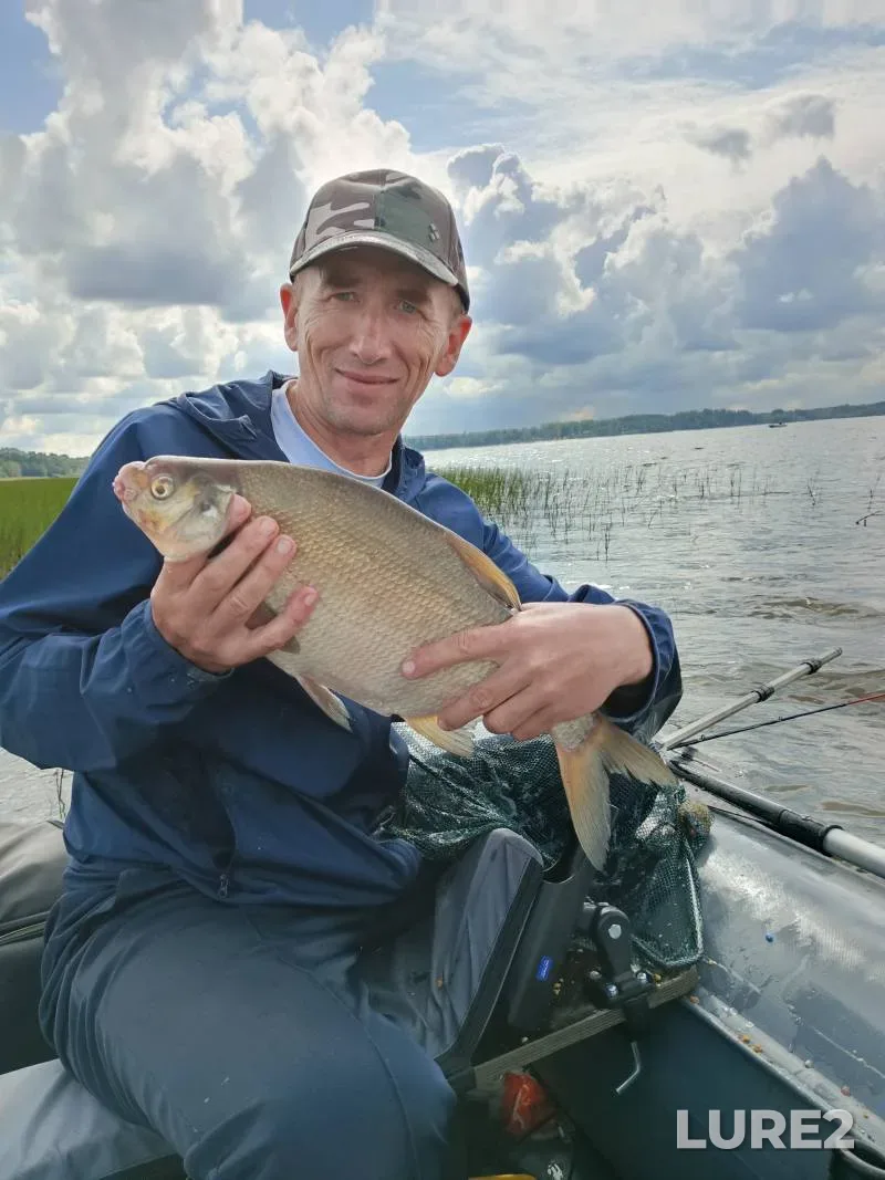 Bream, Zander — Lembolovskoye, Sep 03, 2023