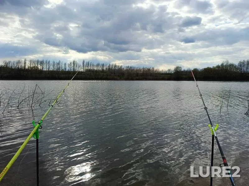 Crucian carp — Voronezhskaya oblast, Apr 12, 2025