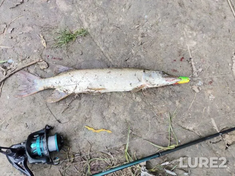 Pike — Inya, Jul 16, 2025, 3:21 PM