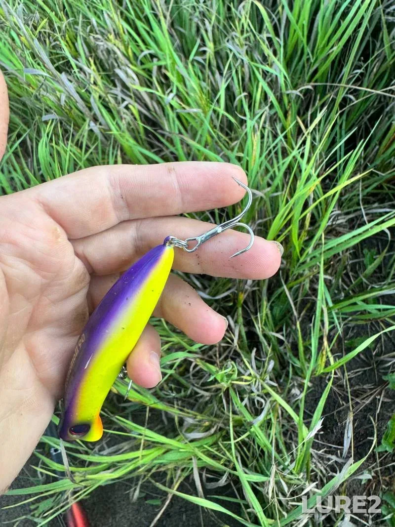 Pike — Gus, Aug 19, 2025, 6:18 PM