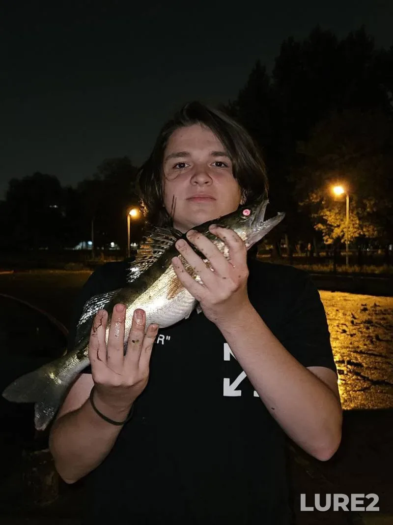 Zander — Moskva, Oct 04, 2025, 8:30 PM
