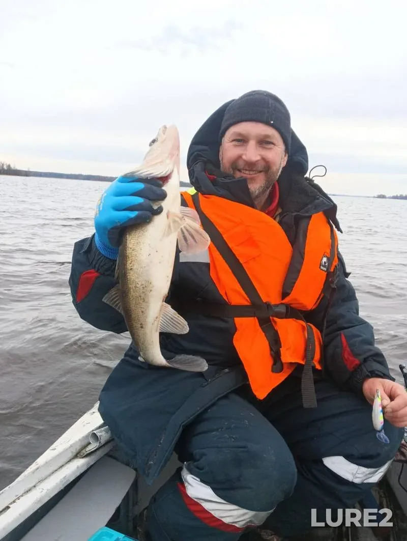 Zander — Leningradskaya oblast, Priozerskiy rayon, Nov 02, 2025, 3:30 PM