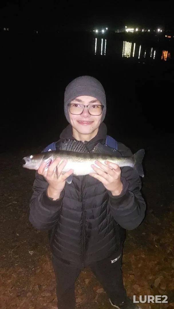 Zander — Revdinskiy, Oct 05, 2025, 8:05 PM