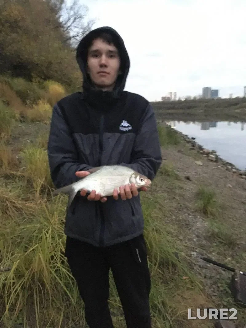 Bream — Tura, Oct 06, 2025, 8:16 PM