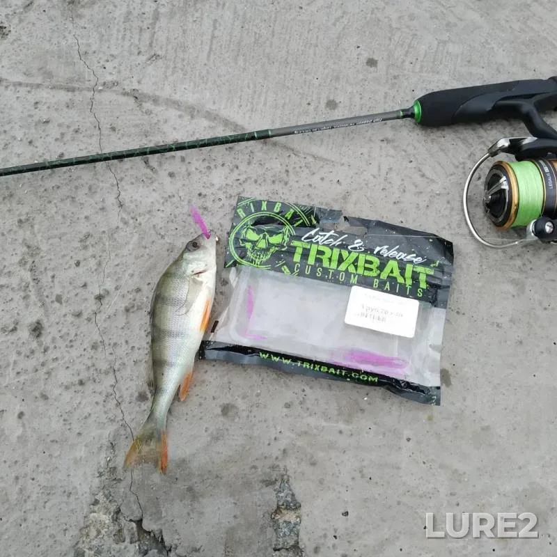 Perch, Zander — Svisloch, Oct 04, 2019