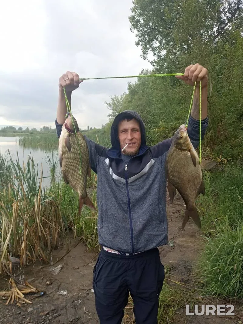 Bream — protoka Tatysheva, Jun 12, 2025, 6:00 AM
