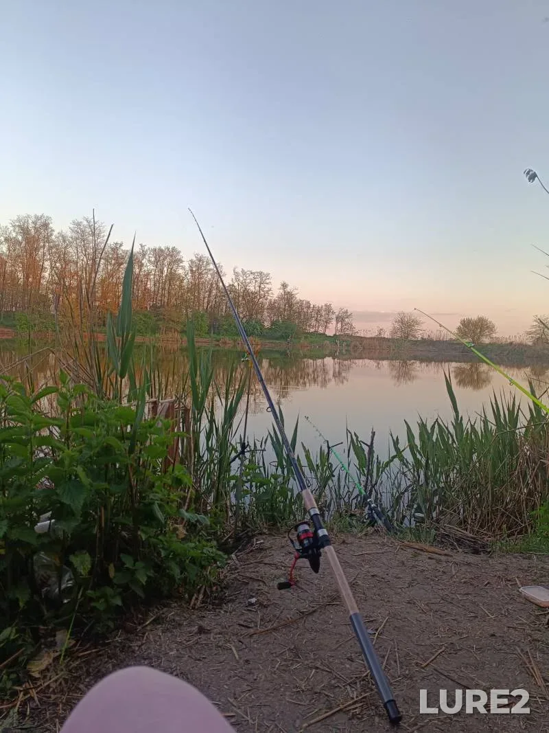 Crucian carp — Kochety, May 09, 5:45 PM