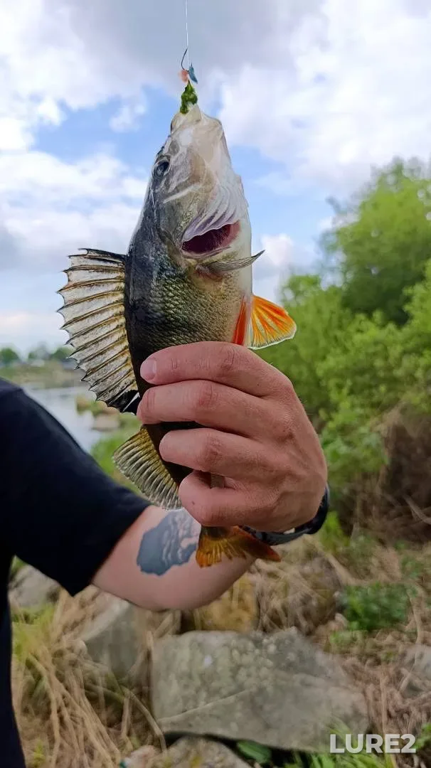 Perch — Zhemchuzhnaya, Jun 06, 4:00 PM