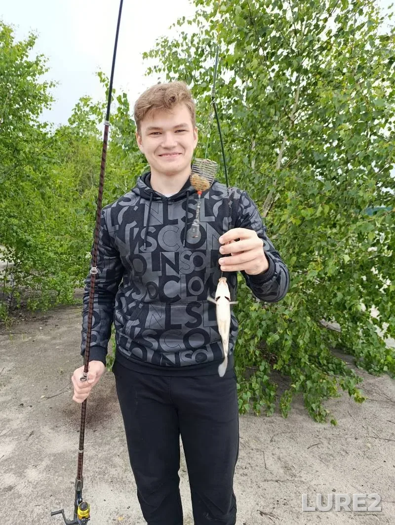 Crucian carp — Pesyanka, May 31, 9:09 AM