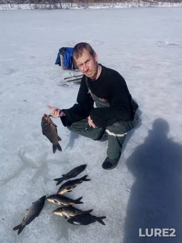 Carp — Kotelevo, Apr 06, 2019