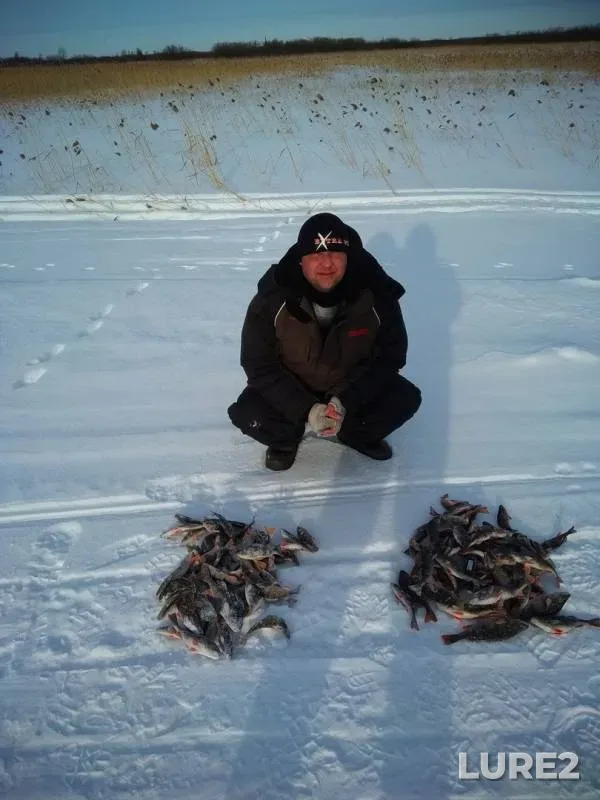 Perch — Kosopasha, Mar 06, 2018