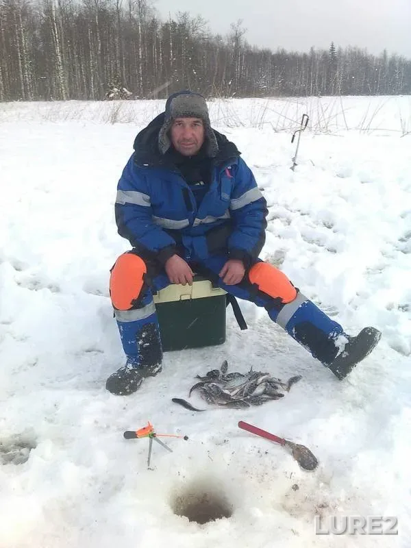Perch, Roach — Nikulinskoye, Feb 11, 2018
