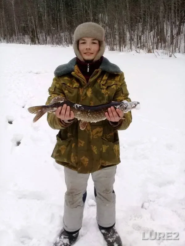Perch, Roach — Voloshino, Feb 18, 2017
