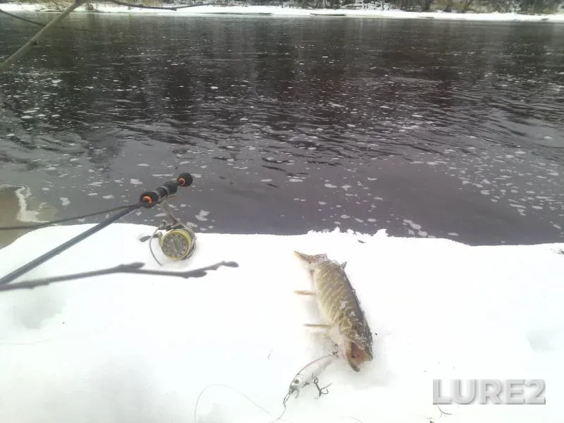 Pike — Tikhvinka, Mar 08, 2016