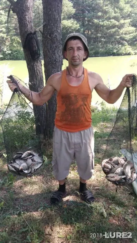 Crucian carp — Sumska oblast, Aug 03, 2018