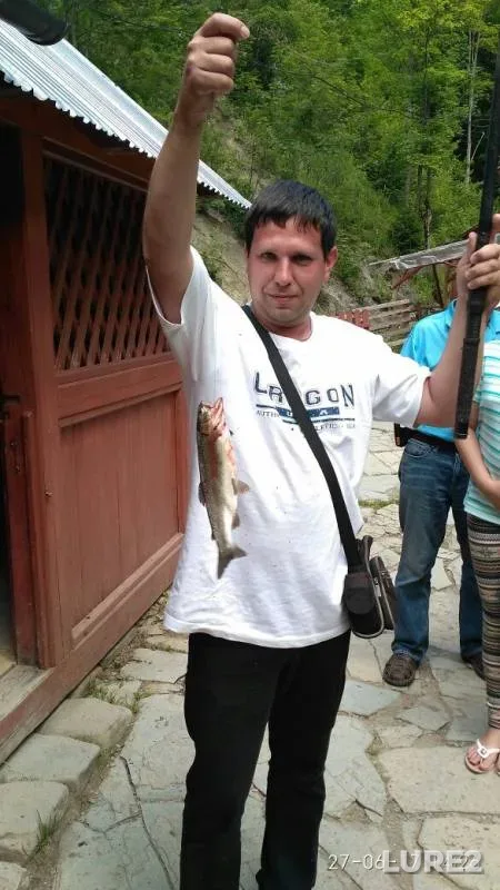 Rainbow trout — Іvano-Frankіvska oblast, Jun 27, 2017