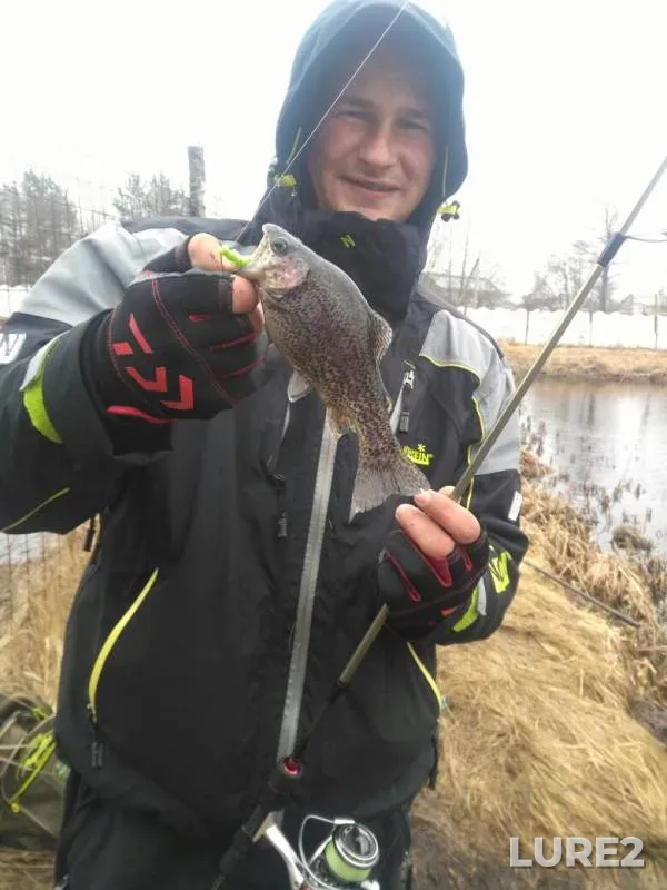 Rainbow trout — Usa, Apr 01, 2018