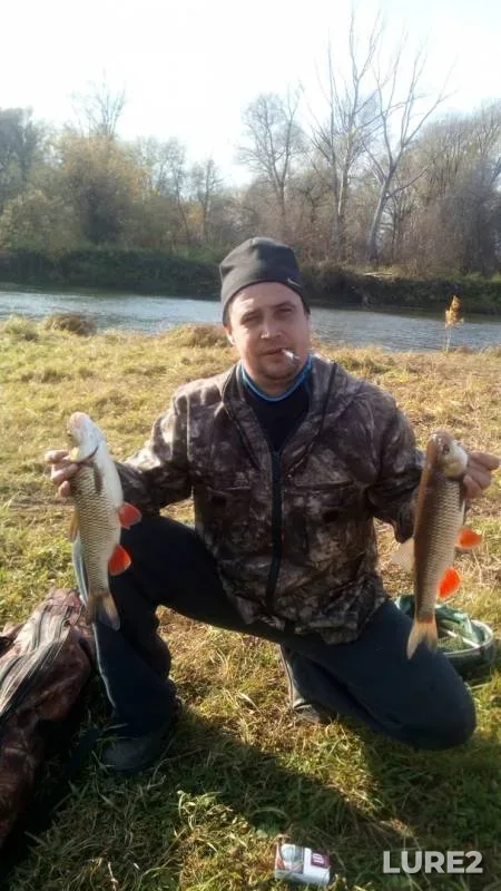 Chub, Pike — Shestaya, Oct 04, 2019