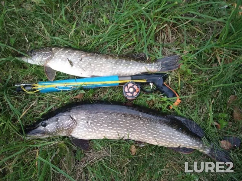 Pike — Votkinskiy, Sep 05, 2019