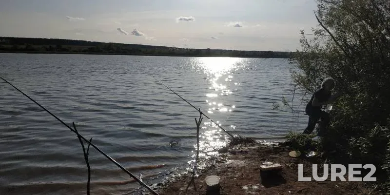 Crucian carp, Perch — Sepychevskiy, Aug 24, 2019