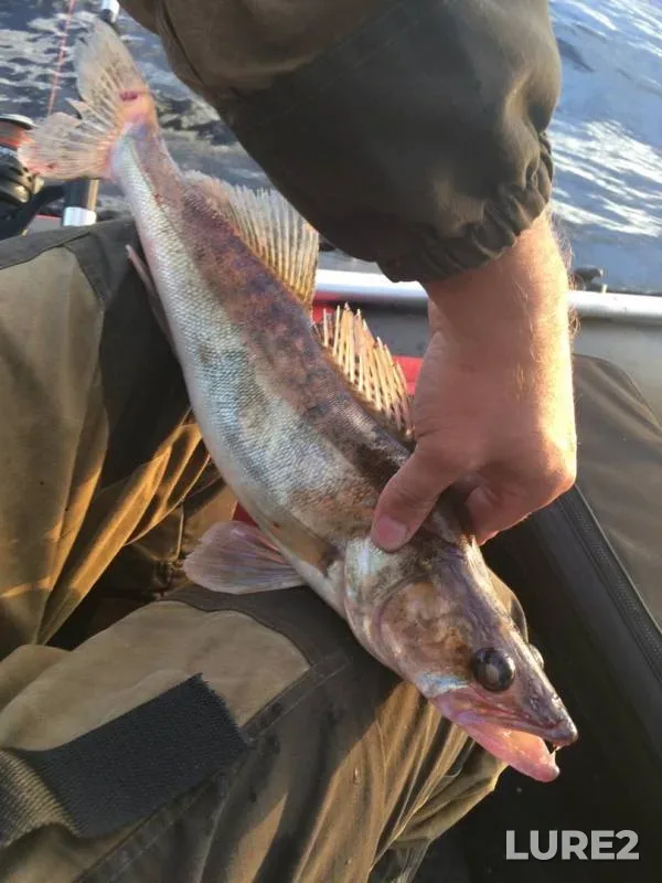 Pike, Zander — Kama, Jul 05, 2019