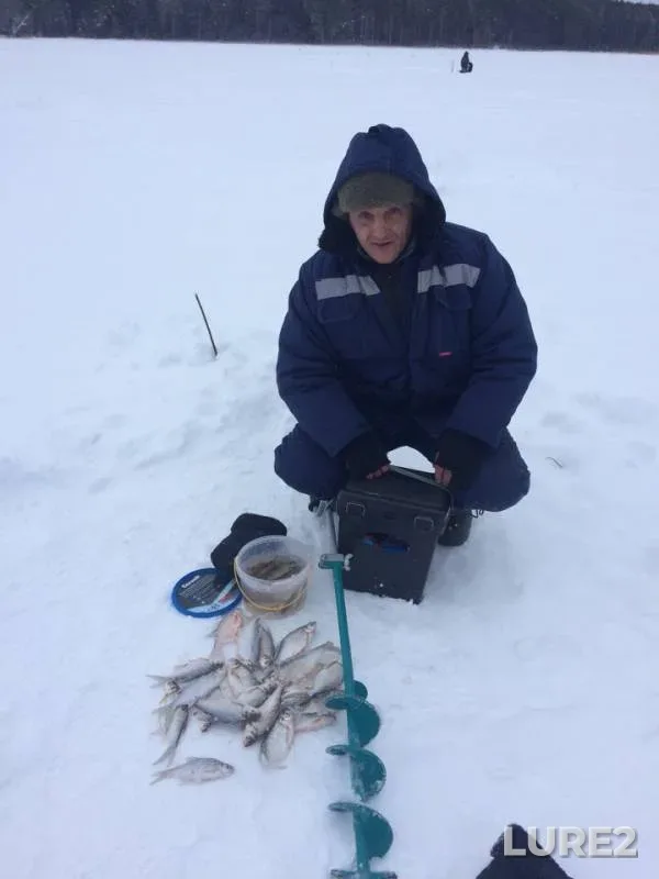 Bream, Roach — Votkinskiy, Feb 15, 2019