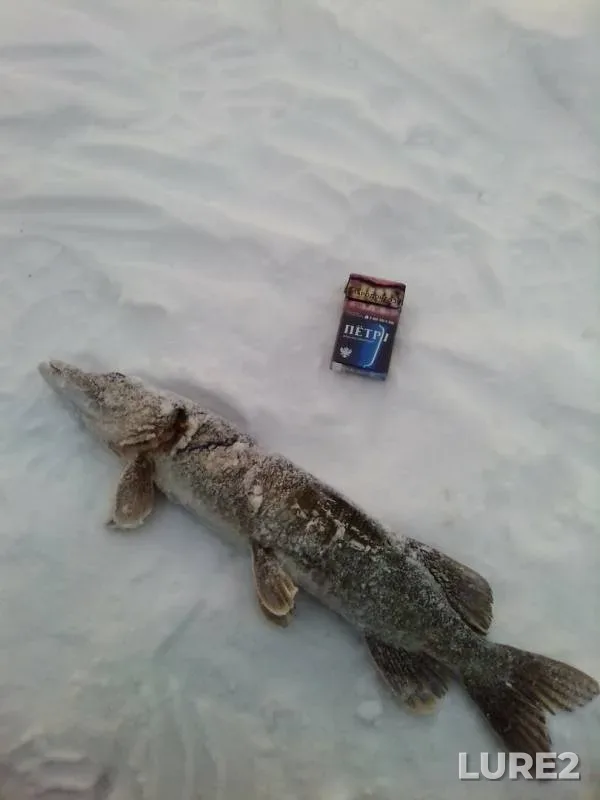 Pike — Kama, Dec 12, 2018