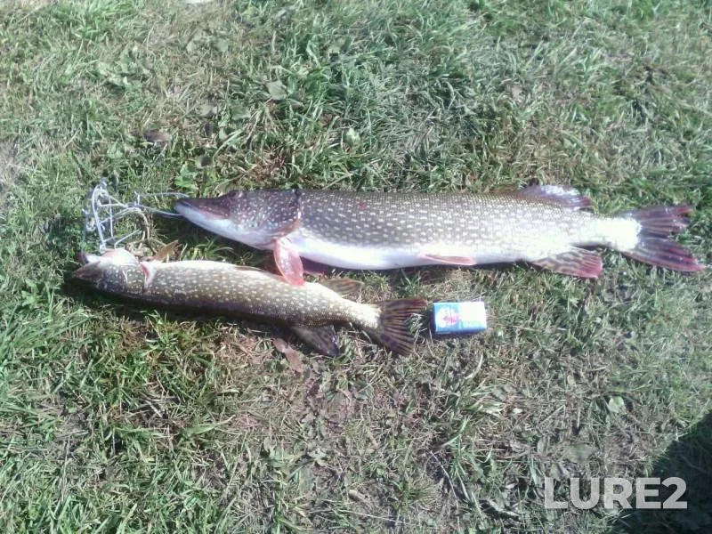 Pike — Votkinskoye, Aug 20, 2018