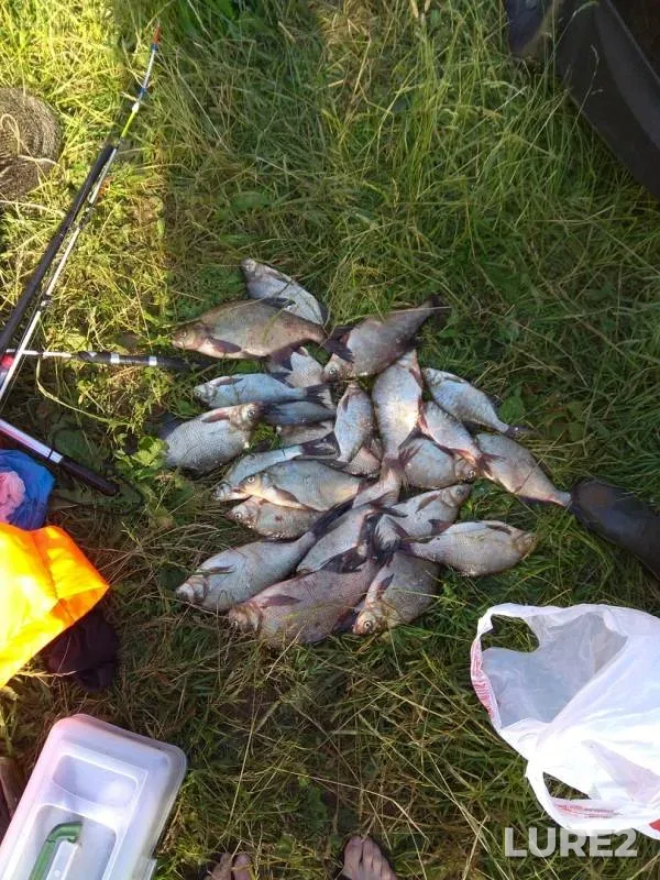 Bream — Chernoye, Jul 08, 2018