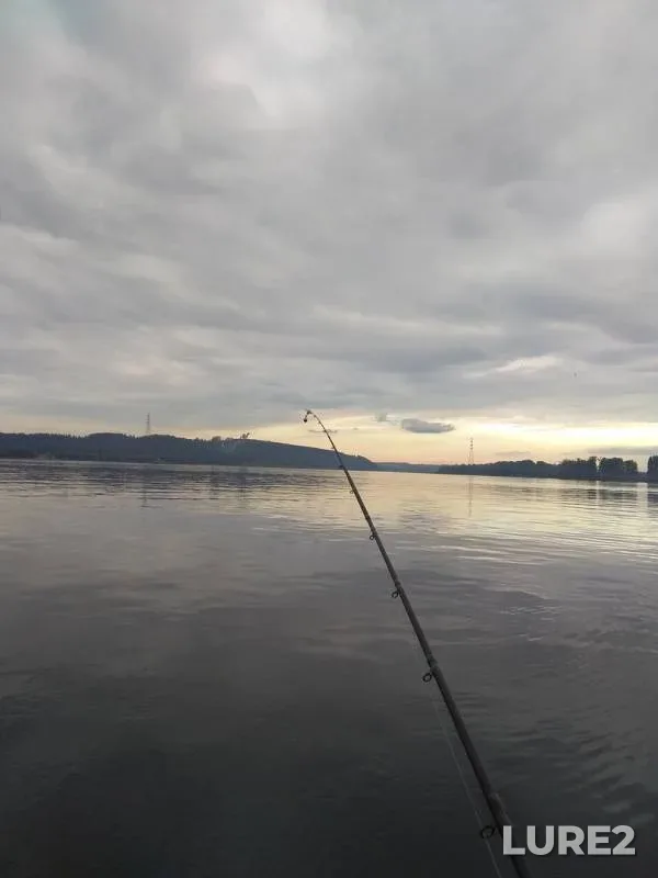 Bream — Kama, Jul 07, 2018