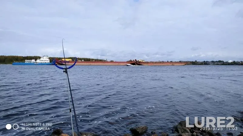 Bream — Volga, Sep 25, 2019