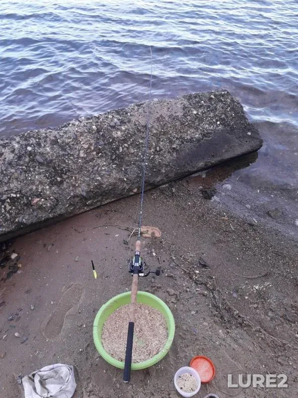 Roach — Volga, Jul 28, 2019