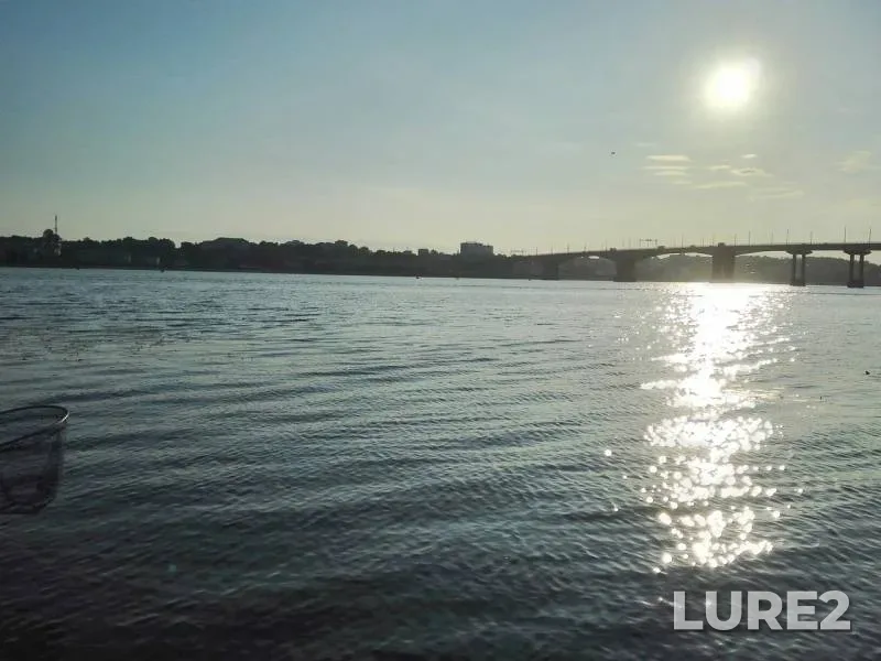 Bream — Volga, Jul 27, 2019