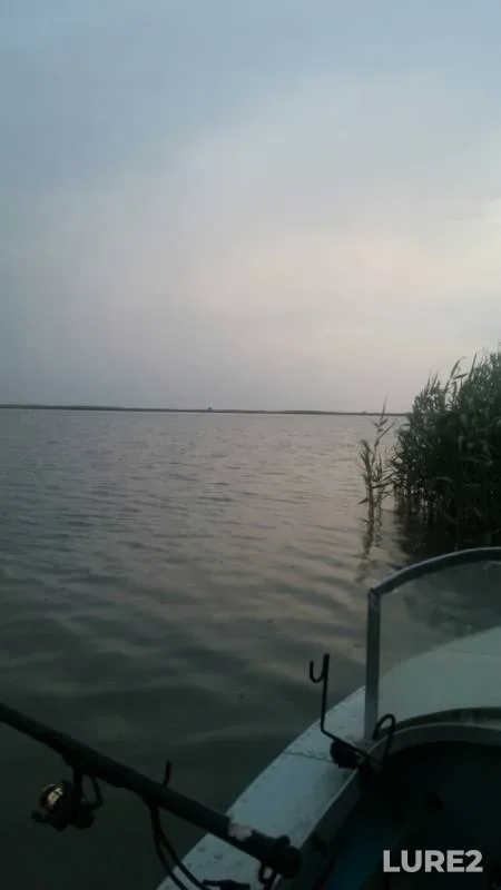 Crucian carp — Prigibskiy liman, Jun 23, 2019