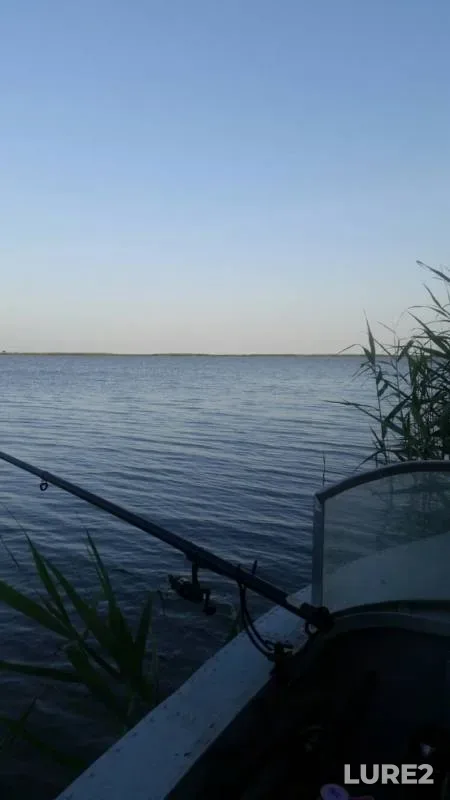 Crucian carp — Prigibskiy liman, Jun 16, 2019