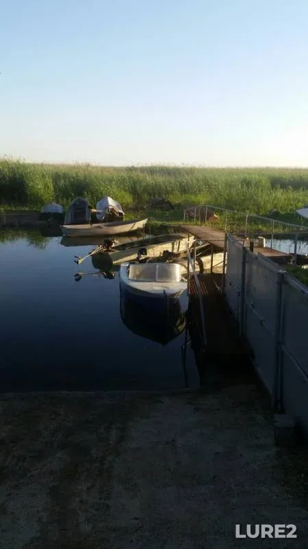 Perch — liman Gorkiy, Jun 02, 2019