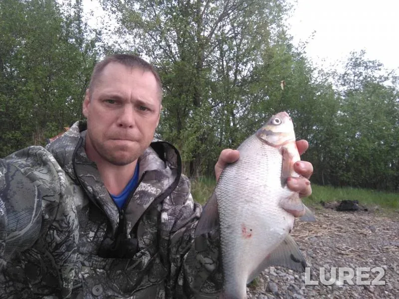 Bream — Volga, May 14, 2019