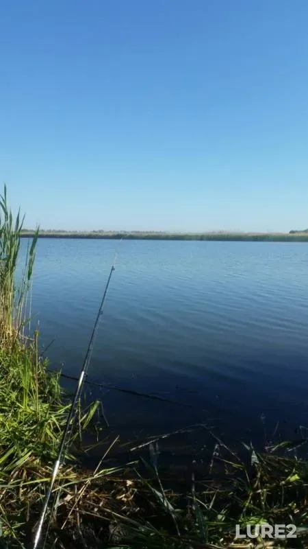 Crucian carp — Kirpili, May 05, 2019